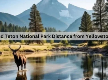 Grand Teton National Park Distance from Yellowstone