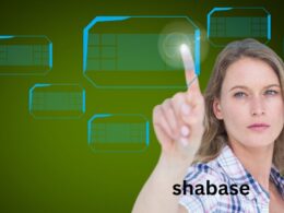 The Ultimate Guide to Shabase: