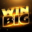 Understanding Big Winner Pro Software